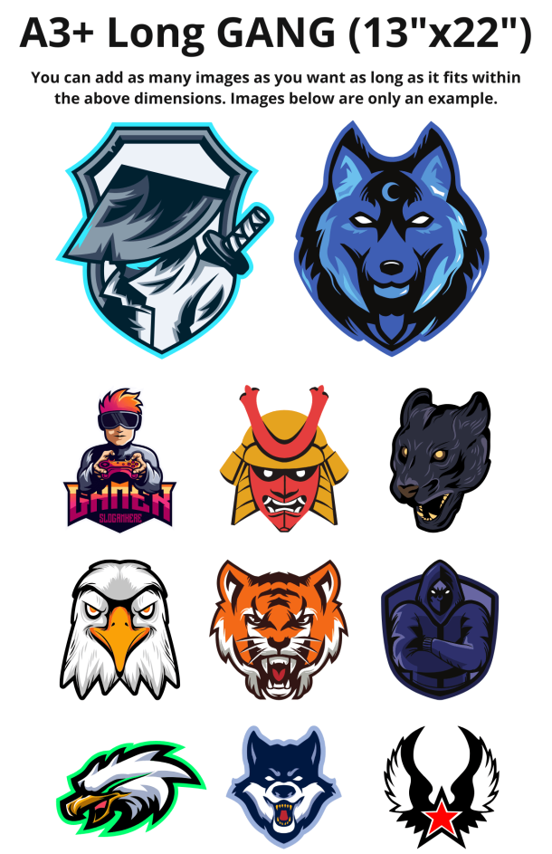 A3+ Long GANG 13x22